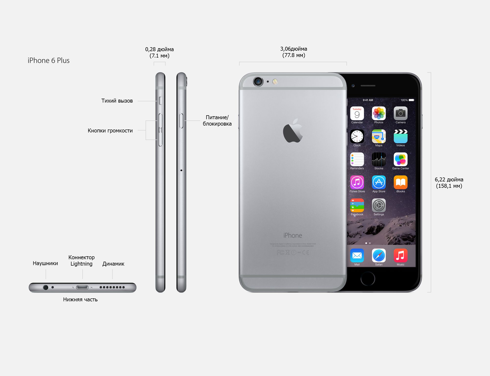 iPhone 6 plus фото великого яблука: у чому переваги моделі