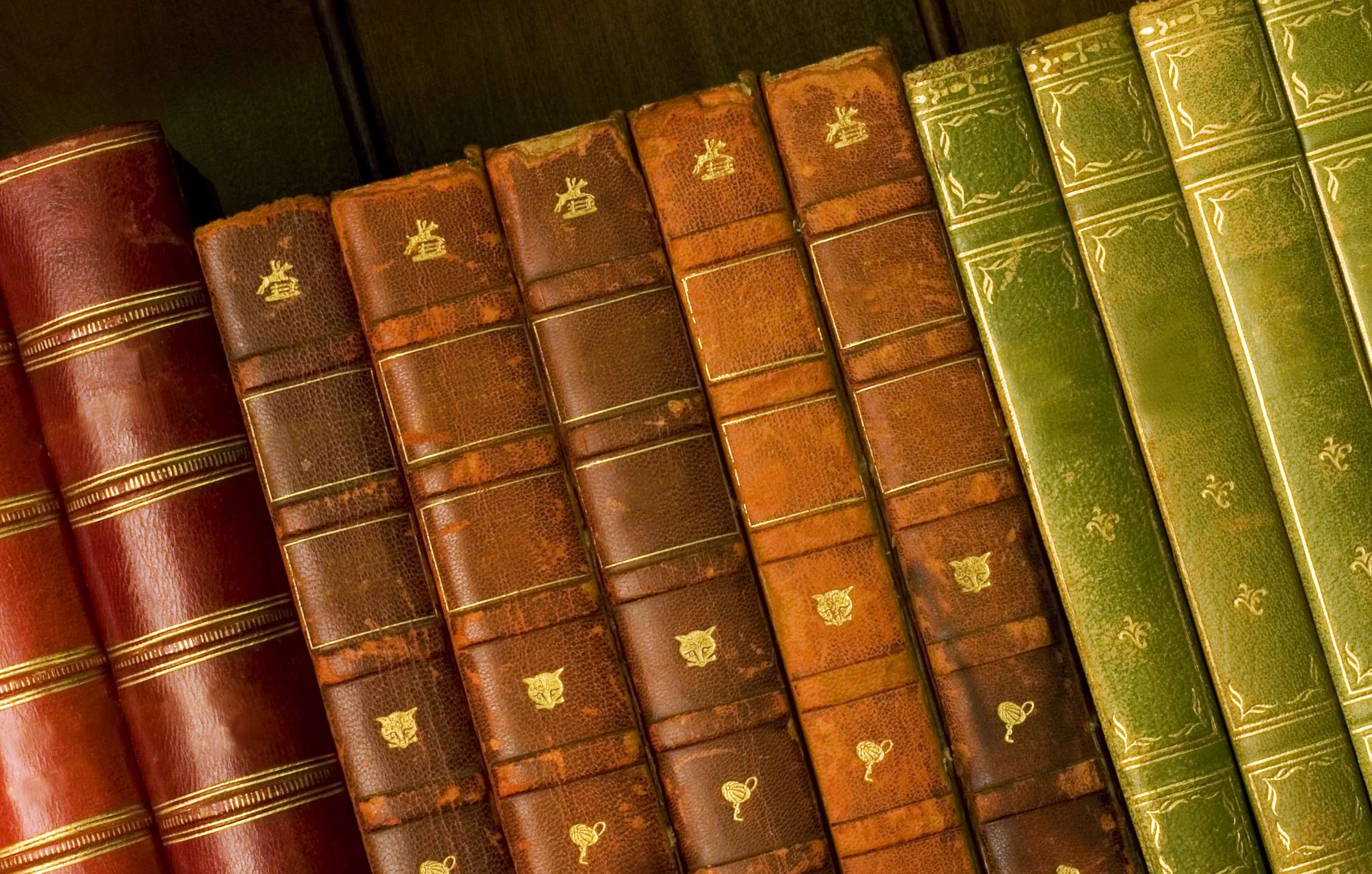 Читалка книг для компютера — Огляд кращих програм