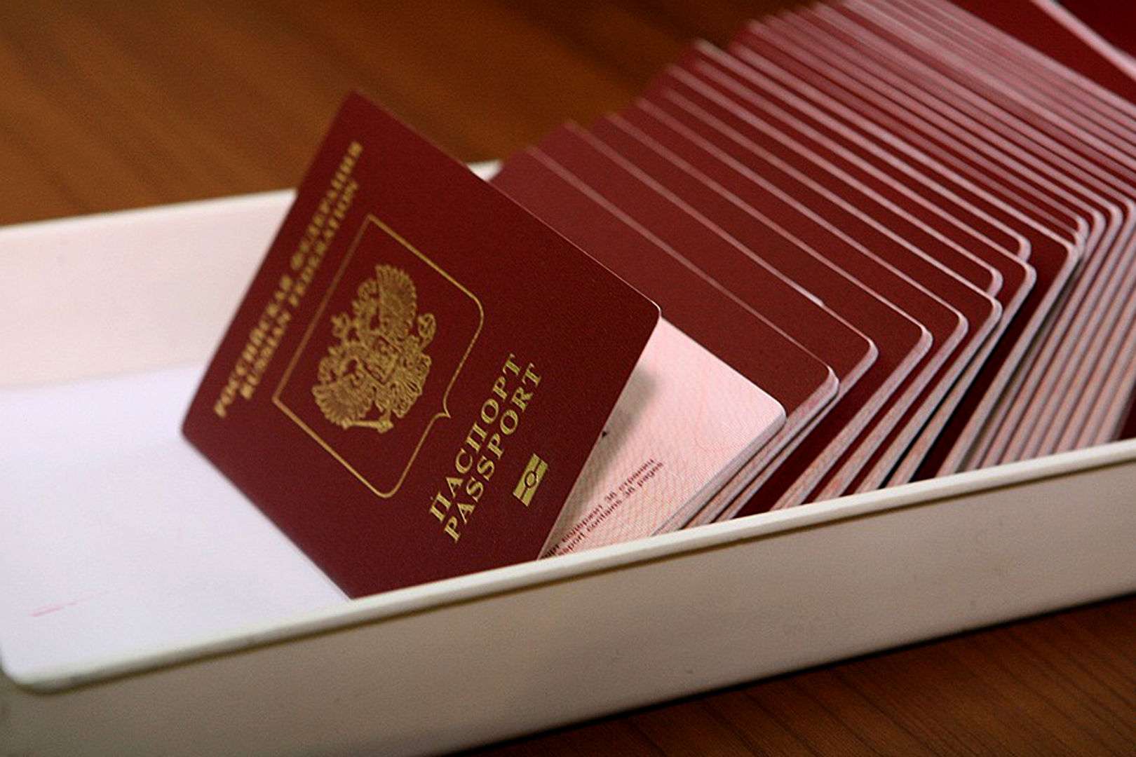 Держпослуги Онлайн! Як зробити закордонний паспорт — Покрокове керівництво