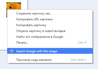Пошук по картинці Google (гугл): як знайти схожі зображення