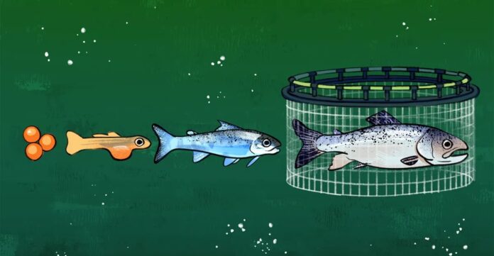 112a4d7e-0c37-4eab-87da-25ad858f11c5