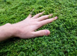 Повернення контролю: зростаючий рух виступає за «відмову від програм»