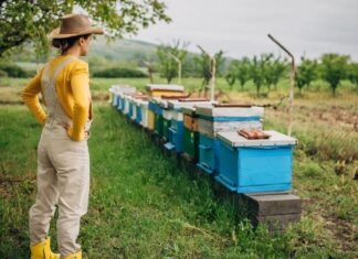 KI-gestützte Hobbys: Wenn Algorithmen Bienenhaltung vorschlagen