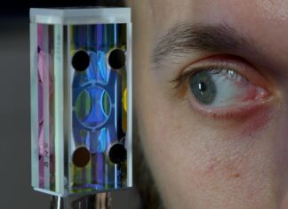 Empat Jalur Komputasi Kuantum Berkumpul di Nvidia GTC