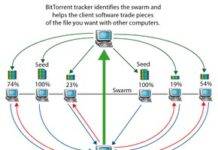 Як BitTorrent використовує принцип “око за око” для прискорення завантаження великих файлів