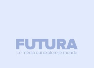 Comment la fraude arrête la fraude en ligne : technologie, éthique, impact