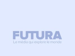 S-Vidéo : Pourquoi la séparation de la luminance et de la chrominance est toujours importante pour la qualité de l’image